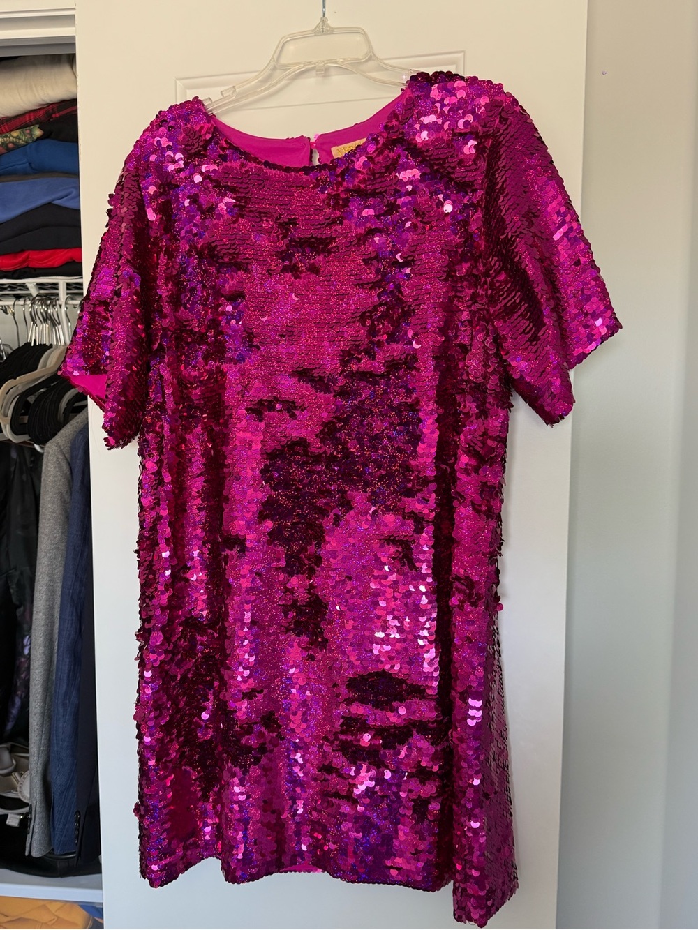 Anthropologie Fuchsia Sequin Shift Dress